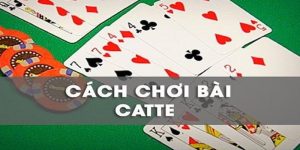 bai-catte-ok9